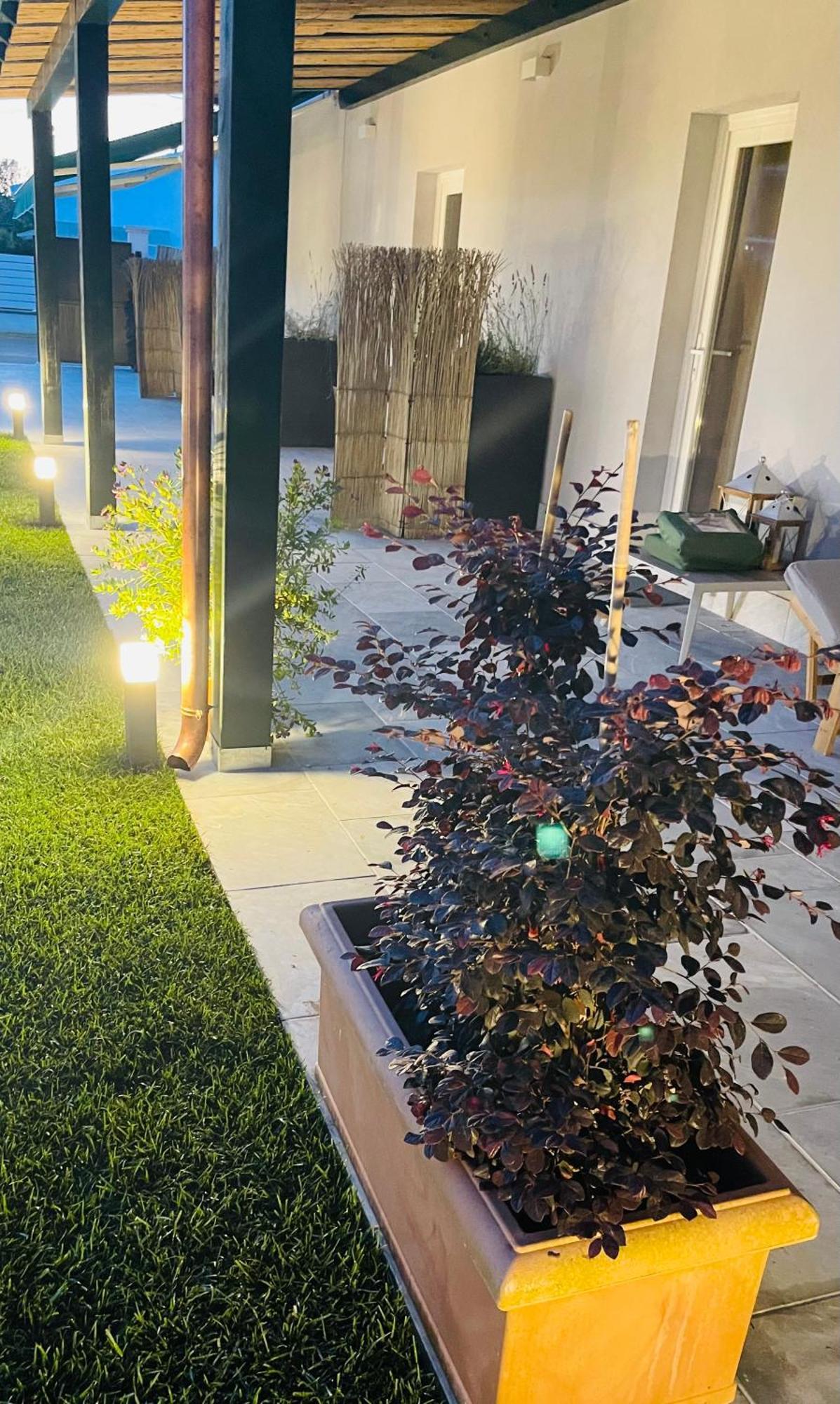 Poveromo B&B 马萨 外观 照片